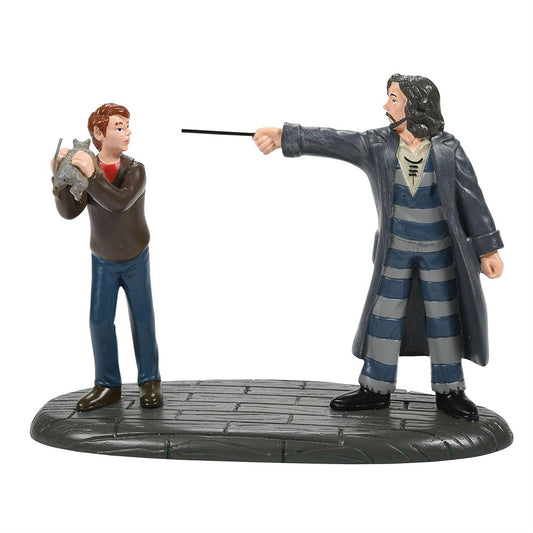 Harry Potter Come Out and Play, Peter! Figurine 6007756 by Department 56