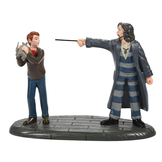 Department 56 Harry Potter Come Out and Play, Peter! Figurine 6007756