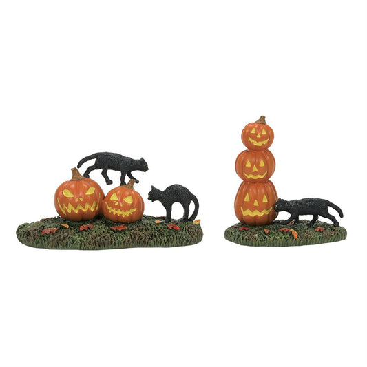 Scary Cats Pumpkins Set of Two Figurines 6012285 by Department 56