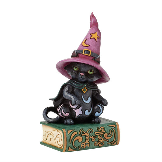 Jim Shore Black Cat Sitting on Book Pint Figurine 6016645